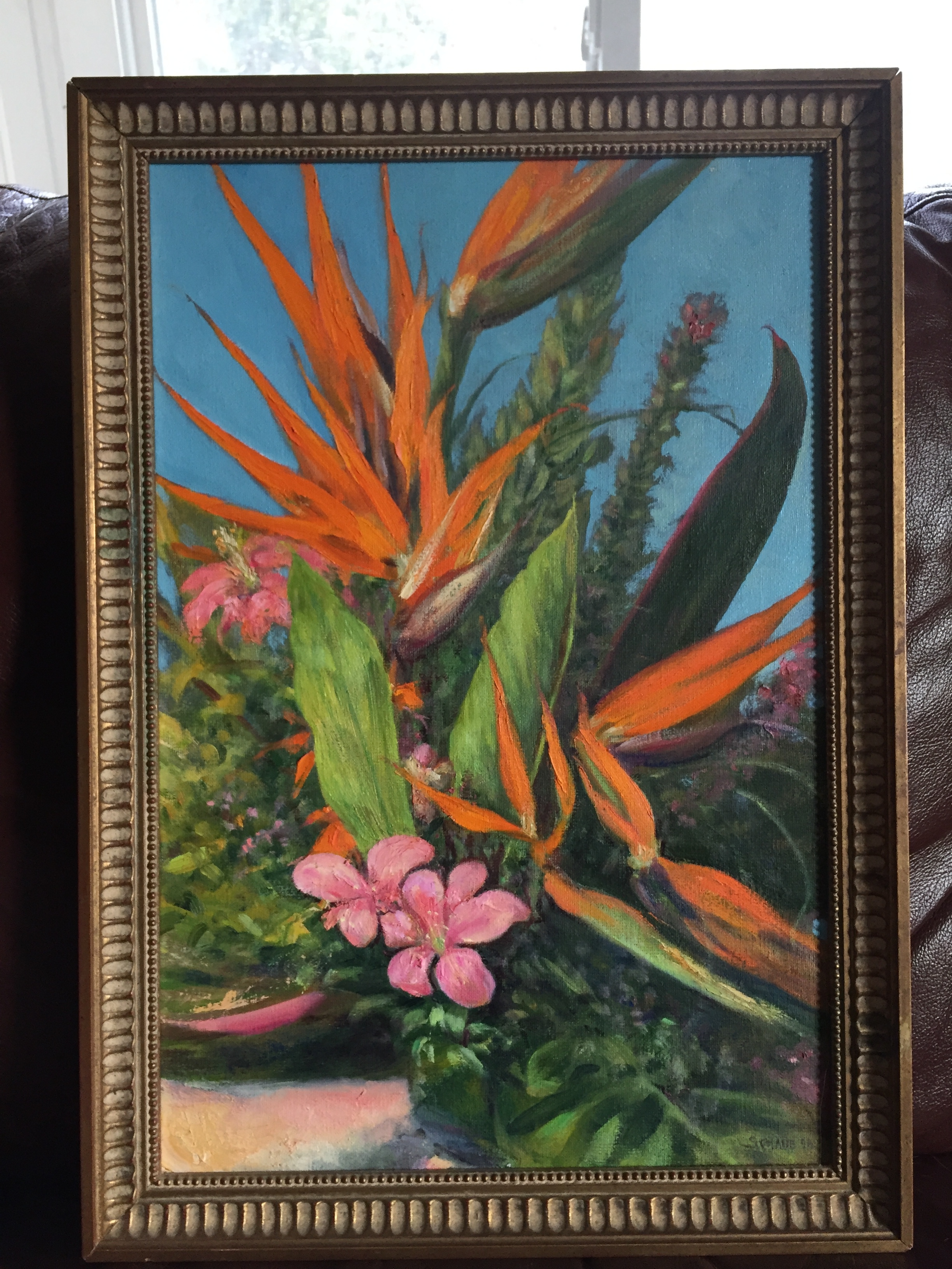 'Birds of Paradise'