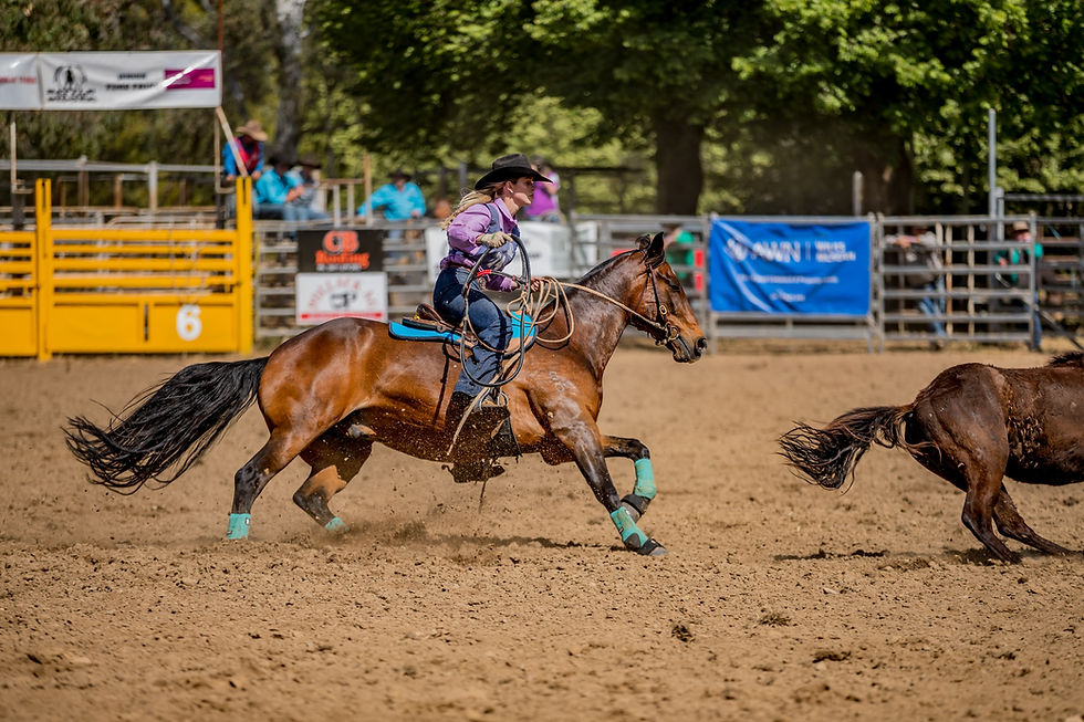 BOTB Finals Ladies Brumby Catch-8961.jpg