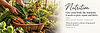 ChatGPT Image Sep 8, 2026, 10_12_05 AM.png