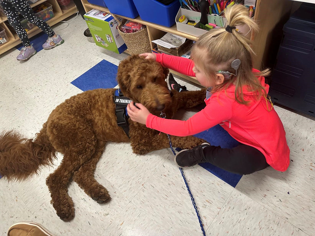 Oakley the Therapy Dog