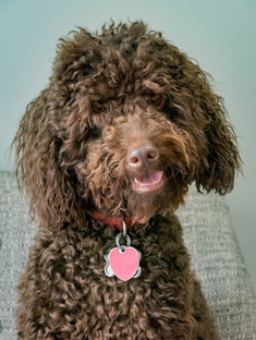 cooper1.jpg