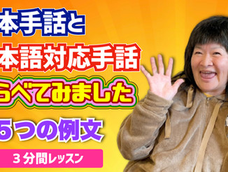 【動画付き】日本手話と日本語対応手話の違いとは?わかりやすくまとめました! #オンライン手話大学