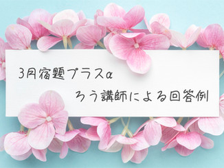3月宿題プラスαのろう講師による回答例