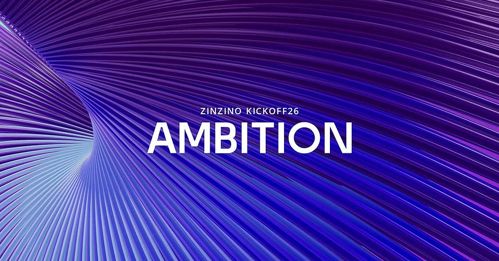 Zinzino-Ambition