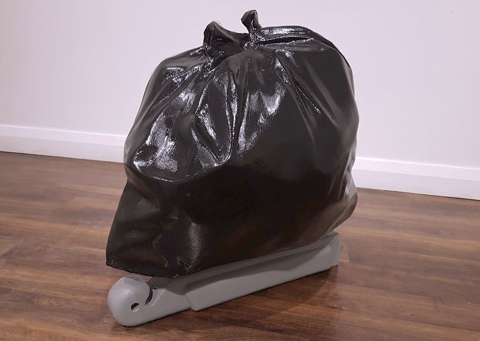 Decoy for Attracting garbage