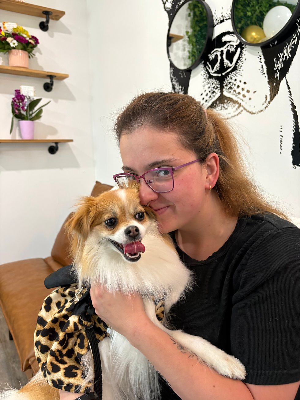 dog groomer with dog