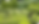 Manicured Garden_edited.png
