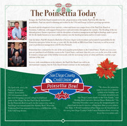 The Poinsettia Today