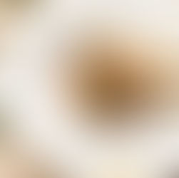 【2026】ホーチミン・ミシュランガイド完全攻略｜星付きからビブグルマンまで必食店を徹底解説