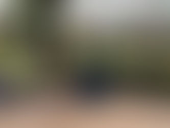 Meer groen en biodiversiteit op bedrijvenpark de Beverkoog