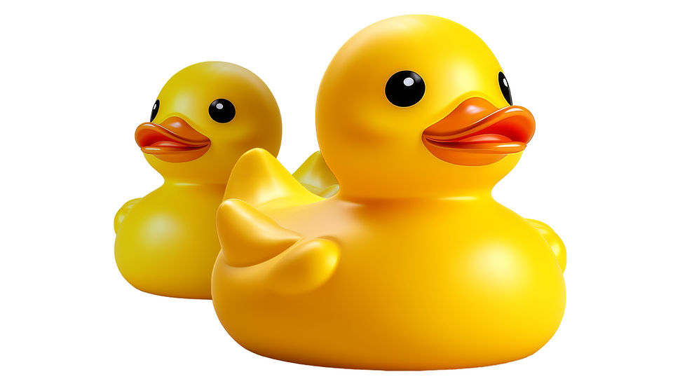 Badeendjesrace 2026