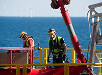 project schedule optimisation