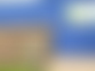 Doe mee met de plant-estafette Beverkoog op 4 november