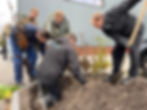 De tweede Beverkoog Haagplantdag