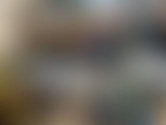 Excursie duurzaamheid in kader opleiding natuurgids IVN NKL