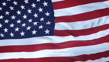 Stylized American flag representing patriotism and progressive values of Donkey Force