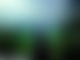 Southeast Asia Reflection