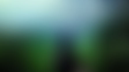 Southeast Asia Reflection