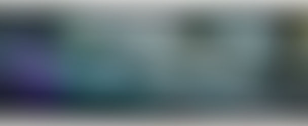 Demonstration @ CES 2018