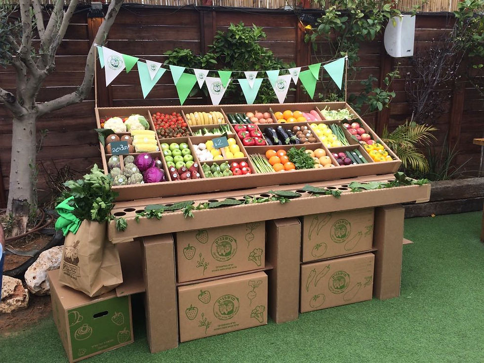 בנייה מקרטון - דוכן למושבניק