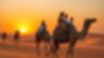 Camel ride Rajasthan