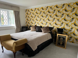 Painting & Wallpaper