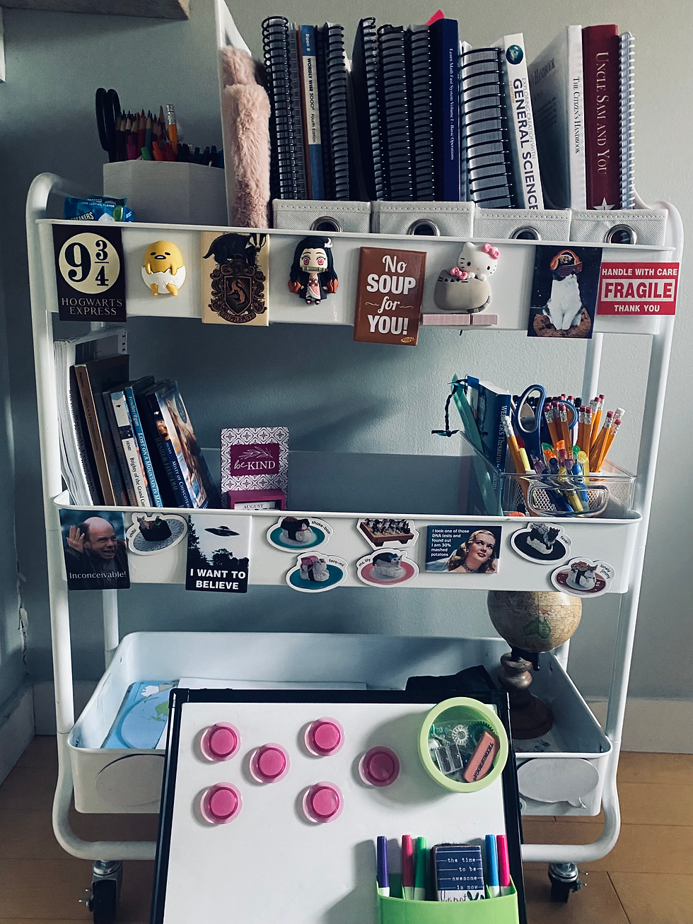 Homeschool Cart Organization