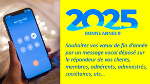 Voeux 2025 : enfin des voeux de fin d'année originaux pour vos clients, membres, adhérents, sociétaires, administrés... !