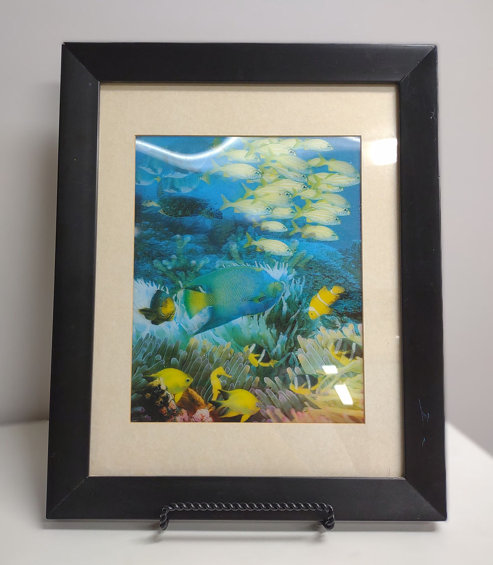 3D Framed Fish Picture