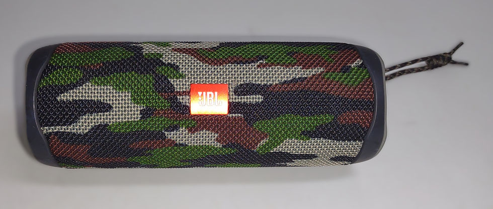 JBL Flip 5 Portable Waterproof Speaker "Squad" Color