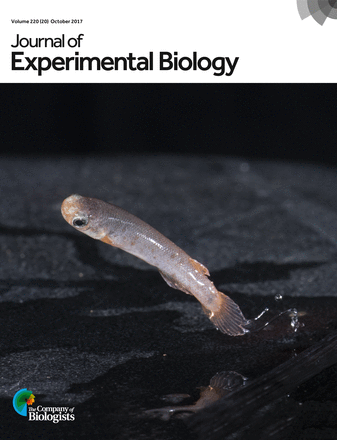 JEB_cover_rivulus.gif