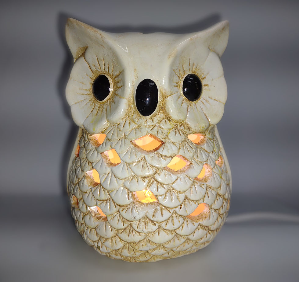 Ceramic Owl Night Light