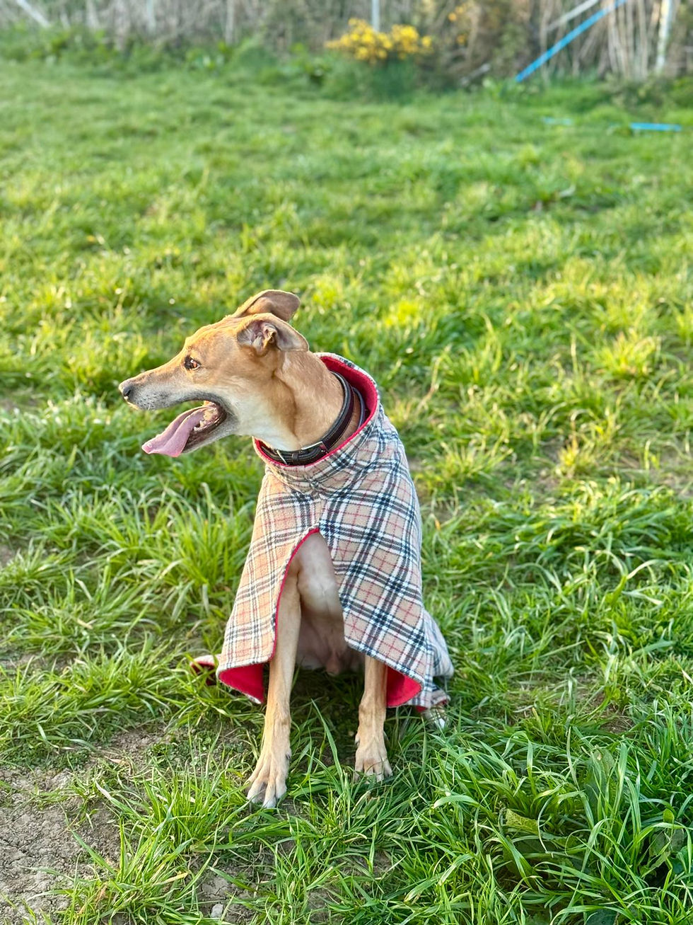 Thumbnail: Bone Dry ® Beige Tartan Drying Coat
