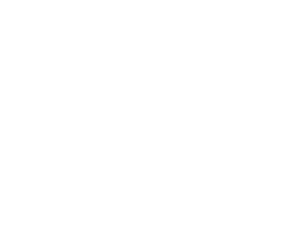 logo_ts.png