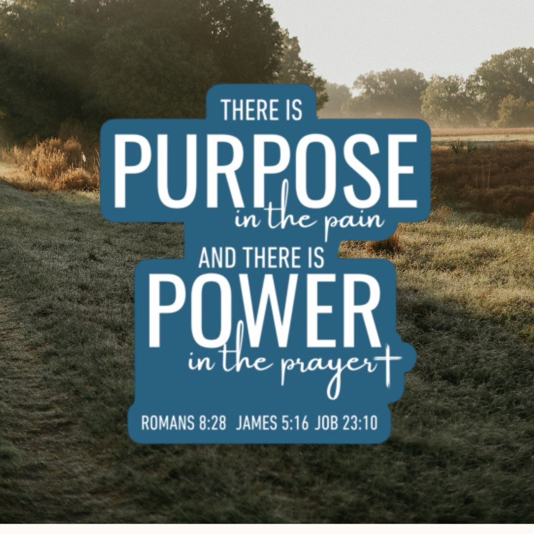 There is Purpose ...