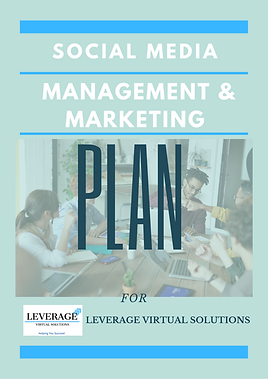 Leverage Virtual Solutions SM Management