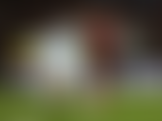 Racing no pudo ante Flamengo y quedó fuera de la final de la Copa Libertadores