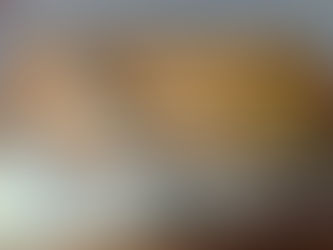 FE&RO obtuvo la certificación ISO 9001 y celebra un nuevo estándar de calidad en Iglesia