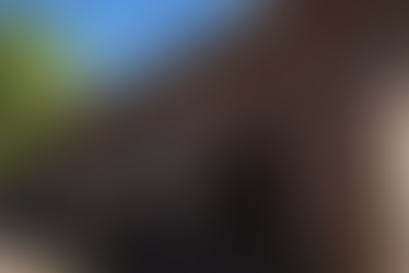 Pedido urgente: lanzan campaña solidaria para recuperar el emblemático Molino de Huaco