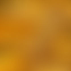 El oro se desploma y borra sus ganancias de 2026: impacto en las reservas del Banco Central