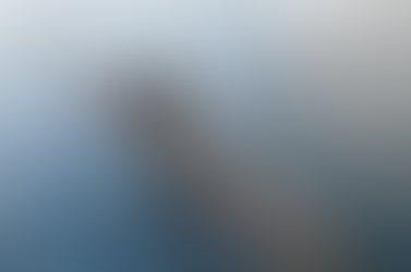 Milei confirmó que Argentina quiere comprarle submarinos a Francia