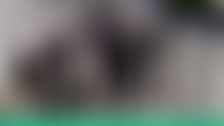 Brito y Riquelme se encontraron en La Bombonera por el adiós a Russo