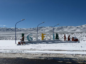 Las impactantes postales que dejó la nieve en Iglesia
