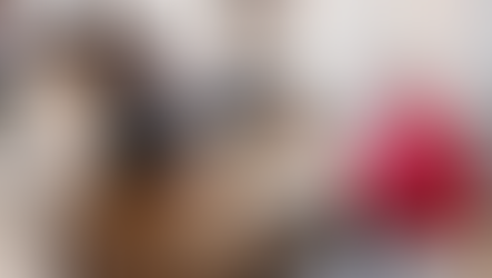 El papa León XIV confirmó a Milei su intención de visitar Argentina, informó Manuel Adorni