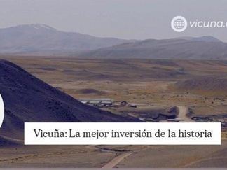 Vicuña: “la mejor inversión de la historia”, según directivos del proyecto