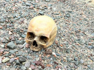 Hallaron un cráneo humano en Punta Negra e investigan cómo llegó al lugar