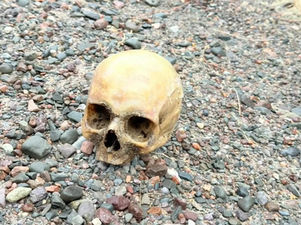 Hallaron un cráneo humano en Punta Negra e investigan cómo llegó al lugar