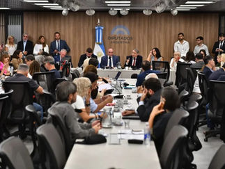 Ley de Glaciares: comienza la ronda de oradores con 200 exposiciones presenciales