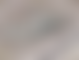 SEA recomienda aprobar proyecto Volta de MAE para producir amoníaco verde en Mejillones