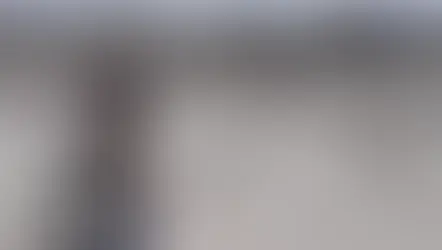 Shows de dinosaurios y hasta tÃteres entre olivos, en vacaciones de invierno